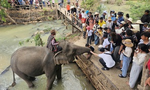 Hàng nghìn du khách đổ về Đắk Lắk đầu năm mới 2026