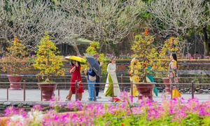 Di sản Huế 'khoác áo xuân' lộng lẫy, du khách quốc tế nườm nượp đổ về