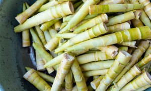 Măng tre có tác dụng gì?