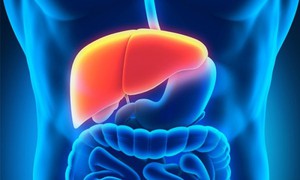 Cảnh giác với suy gan cấp