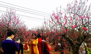 Thời tiết tháng 2 có những điểm khác biệt, Hà Nội nhiều ngày mưa phùn