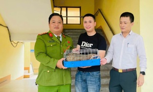 Phát hiện động vật quý hiếm 'đi lạc', người đàn ông giao nộp công an