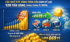 Các quỹ ETF gom vàng kỷ lục trong tháng 1/2026