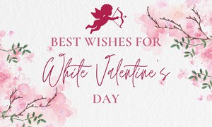 Những mẫu thiệp Valentine 14/3 - Valentine trắng đẹp nhất 2026