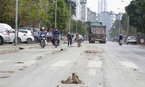 Hà Nội: Xe tải làm rơi đất trên đường, CSGT truy tận công trường xử lý