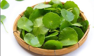 Cách phòng chứng ngứa da, nổi mề đay vào mùa xuân