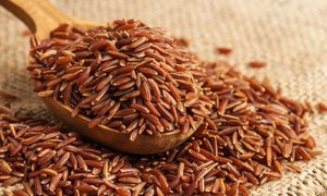 Dược thiện cho người yếu sinh lý