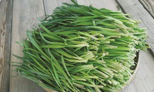 29 bài thuốc chữa bệnh từ cây rau hẹ