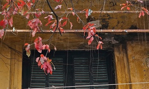 Miền Bắc mưa rải rác buổi sáng, hửng nắng vào trưa chiều