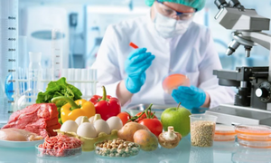 Giải thưởng Kovalevskaia năm 2025 vinh danh nhà khoa học nữ nghiên cứu có tính ứng dụng cao