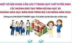 Quy chế tuyển sinh các ngành đào tạo trình độ đại học và ngành Giáo dục Mầm non