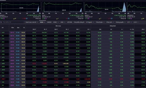 Xu hướng chứng khoán 2/4 nên tăng dần tỷ trọng cổ phiếu