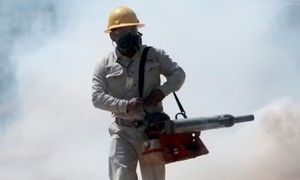 Cảnh báo nguy cơ dịch sốt xuất huyết bùng phát kỷ lục trong năm 2026