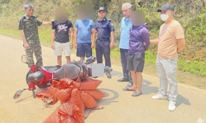 Bắt quả tang nhóm người vận chuyển gần 60kg vảy nghi tê tê ở Cao Bằng