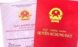 Đăng ký đất đai: Đất không có giấy tờ vẫn được xem xét, giải quyết