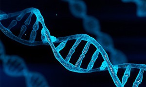 Phát hiện 17 triệu biến thể di truyền mới trong bộ gene của người Ai Cập