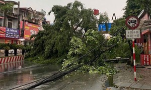 Cảnh báo dông lốc, mưa đá ở khu vực Bắc Bộ và Thanh Hóa