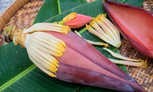 5 món ăn bài thuốc từ hoa chuối
