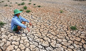 Bộ Nông nghiệp và Môi trường cảnh báo sớm về El Nino năm 2026