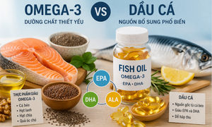 4 điểm khác biệt chính giữa omega-3 và dầu cá, lựa chọn loại nào phù hợp nhất với bạn?