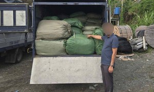 Tạm giữ xe chở hơn 2,6 tấn nguyên liệu thuốc lá không rõ nguồn gốc đang đi tiêu thụ