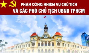 [Infographic] Phân công nhiệm vụ Chủ tịch và các Phó Chủ tịch UBND TPHCM nhiệm kỳ mới
