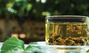 Cách dùng lá dâu tằm cải thiện giấc ngủ