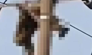 Nam sinh lớp 8 tử vong trên cột điện trung thế