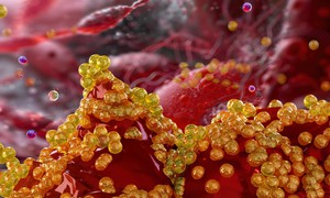 Bất ngờ công dụng mới của loại thuốc điều trị huyết áp quen thuộc