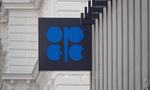 UAE tuyên bố rút khỏi OPEC và OPEC+