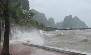 Cảnh báo dông lốc và mưa lớn vùng biển Quảng Ninh và Hải Phòng