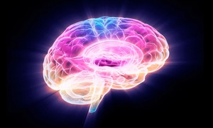 Phát hiện loại protein đẩy nhanh quá trình lão hóa não