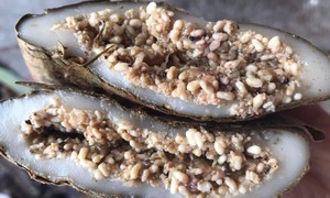 'Thủ phạm' gây dị ứng trong món bánh trứng kiến độc đáo?