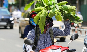 Nắng nóng gay gắt kéo dài, khuyến cáo các biện pháp bảo vệ sức khỏe