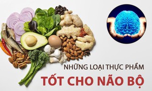 Các chất bổ sung cải thiện trí nhớ trong mùa thi: Hiểu đúng để dùng hiệu quả