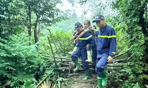 Hơn 300 người tìm kiếm nạn nhân mất tích khi đi hái dược liệu trong rừng ở Tuyên Quang