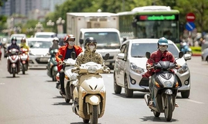Báo động nguy cơ cháy rừng ở nhiều khu vực do nắng nóng diện rộng