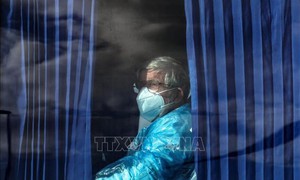 Hà Lan cách ly 12 nhân viên y tế do không tuân thủ quy trình chăm sóc bệnh nhân nhiễm virus Hanta