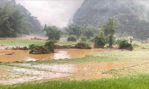 Cao Bằng: Mưa lũ cục bộ khiến 9 xóm bị ngập lụt, 1 xe khách bị cuốn trôi