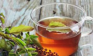 3 loại lá thông dụng hỗ trợ điều trị tăng huyết áp