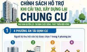 [Infographic] Hà Nội đề xuất 4 hình thức tái định cư khi cải tạo chung cư cũ