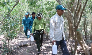 Những người lặng thầm giữ 'lá phổi xanh' cho nơi có nhiều loài động vật quý hiếm sinh sống