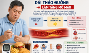 Điểm mới hướng dẫn điều trị tăng mỡ máu cho người đái tháo đường