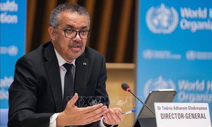 Lãnh đạo WHO đến Congo, khẳng định có thể kiểm soát dịch Ebola