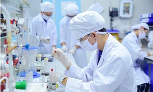 Làm gì để khoa học cơ bản ở Việt Nam phát triển đột phá?