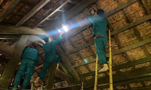 Nghệ An: Giông lốc, mưa đá gây thiệt hại diện rộng, ước tính hàng chục tỷ đồng