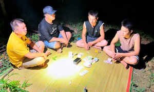 Khởi tố 8 đối tượng đánh bạc trên đồi quế