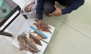 Khởi tố Nguyễn Văn Tuấn trộm mực khô giấu vào trong quần
