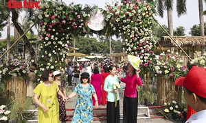 Lễ hội Sen Hà Nội 2026 thu hút đông đảo người dân dịp cuối tuần