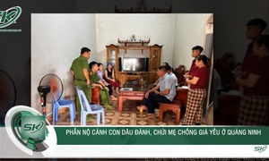 Phẫn nộ clip con dâu túm tóc, đánh chửi mẹ chồng già yếu ở Quảng Ninh